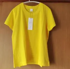 新品 LAITERIE レイトリー ふわふわ天竺コットンTシャツ　38のサムネイル