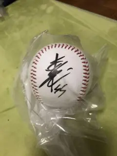 超貴重公式球、サインボール柳田悠岐、高橋礼 直筆 2025年最新】柳田悠岐 サインボールの人気アイテム - メルカリ