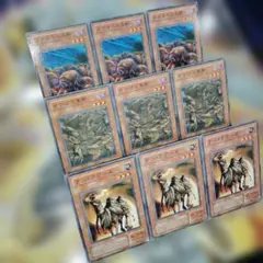 遊戯王【9枚セット】デスラクーダ イナゴの軍勢 スカラベの大群