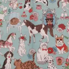 猫さん 犬さん 動物たち