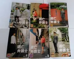逃亡弁護士 DVD 全6枚セット