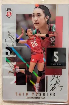 佐藤淑乃選手　バレーボール 日本代表 ツインウェハースカード