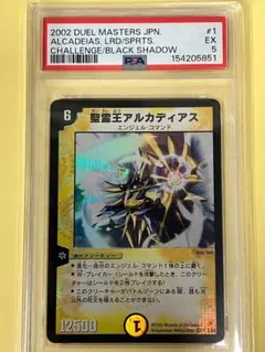 2026年最新】アルカディアス psa10の人気アイテム - メルカリ