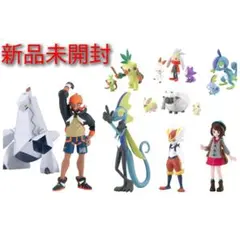 ポケモンスケールワールド　ガラル地方　セット　キバナ&ジュラルドン