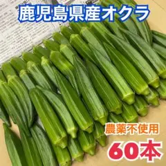 AB品オクラ60本のサムネイル
