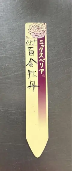ももりん 札のみ ミックスベリア おらいさん苗 多肉植物 - メルカリ