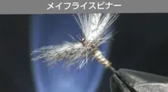 Item thumbnail for item e80b4260-e396-4ef0-bfa5-565ad4cbd20f