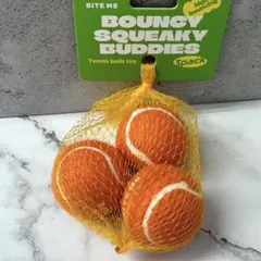 Item thumbnail for item 8fbc04bd-8f79-42b5-9627-488ec19dcf67