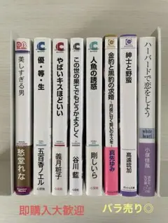 BL小説８冊セット