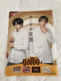 ふまけん　ガルボ　クリアファイル