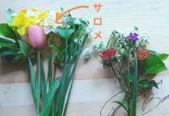 水仙、その他季節の切り花　大小のサムネイル