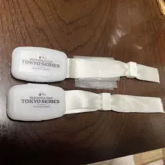 Item thumbnail for item c4887d17-2e9c-44e5-a858-e03dfd999020