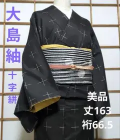 2026年最新】大島 着物 未使用の人気アイテム - メルカリ