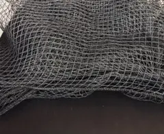 Item thumbnail for item f9938c91-9ad7-43a3-a59f-ddb0dc775683