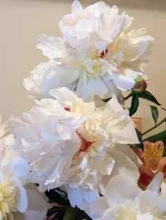 Beniko様 リクエスト 2点 まとめ商品