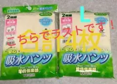 レディース　吸水パンツ　Ｌサイズ　２枚組２セット　尿モレ対応　エチケットショーツのサムネイル