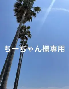 ちーちゃん様専用ページ