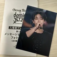 Stray Kids dominate 入場者特典 フォトカード ハン