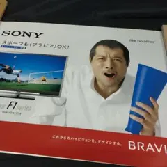 矢沢永吉 販促ポップ　ポスター　まとめ売り10枚セットのサムネイル