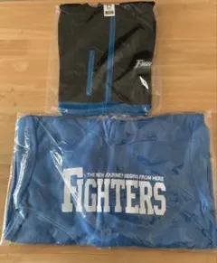 Item thumbnail for item 5c918b3a-6958-4d23-bfd7-eeb50c1cff68