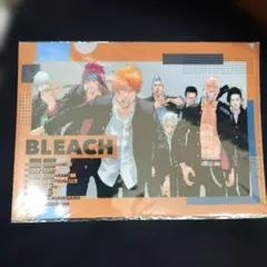 BLEACH THE LOCUS OF BRAVE クリアファイル 護廷高校