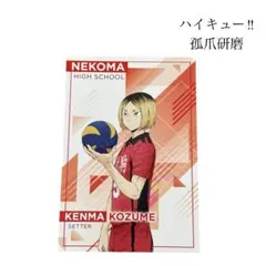 ハイキュー ! ! 音駒高校 孤爪研磨　ポストカード