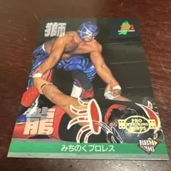 2026年最新】獅龍 プロレスの人気アイテム - メルカリ