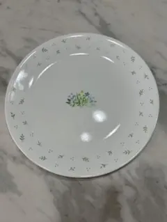 コレール　Corelle プレート ハーブカントリー　大皿　平皿　直径26cmのサムネイル