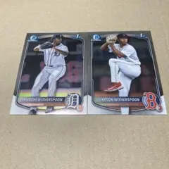 Item thumbnail for item 320600f5-b358-4f8a-976e-8e9f8d09cac8