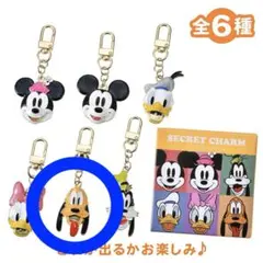 ディズニーストア シークレットチャーム プルート