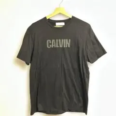 Calvin Klein PLATINUM カルバンクラインプラチナム Tシャツのサムネイル
