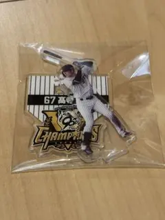 阪神タイガース 2025 セ・リーグ優勝記念くじ 阪神タイガース 2025 セ・リーグ優勝記念くじ BIGフラッグ