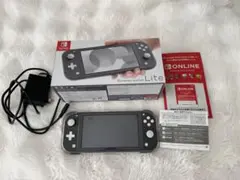 Nintendo Switch Lite ＆SDカード256GB＆付属品のセット
