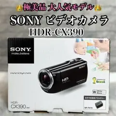 2026年最新】HDR-CX390の人気アイテム - メルカリ