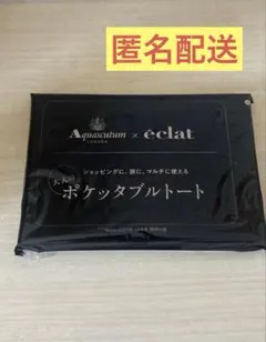 エクラ2025年10月号 付録のみ