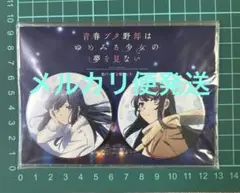 【未開封品】青ブタ　缶バッジ2個セット