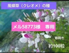 メル58773様 リクエスト 3点 まとめ商品