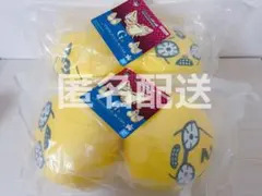 一番くじ ジョジョの奇妙な冒険 ジョジョワールド G もちもちもっち ぬいぐるみ