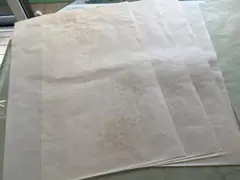 Item thumbnail for item 522bb136-a34c-433f-93d2-ca2437dfc929