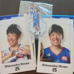 #25平尾選手⭐ミニミニアクスタとチェキ風写真セット