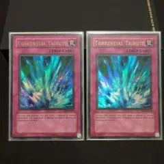 2025年最新】激流葬 英語の人気アイテム - メルカリ