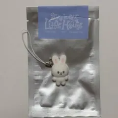 スギズ　6期ペンミシークレットミニチャーム　フロッキーストラップ　リービット　⚠️