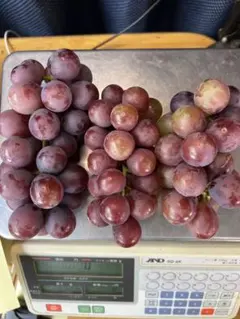 りかっち様専用のサムネイル