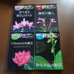 自然と野生ラン 2011年 5月号 6月号 7月号 8月号 4冊セット