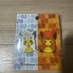 C*n様 ポケモンセンター スカイツリータウン限定 レックウザポンチョ