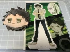 2026年最新】日向創 ぬいぐるみの人気アイテム - メルカリ