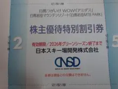 NSD　日本スキー場開発　株主優待　特別割引券