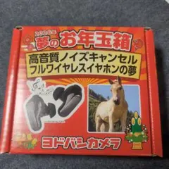 新品 お年玉箱 高音質ノイズキャンセル フルワイヤレスイヤホンの夢 ヨドバシ『高音質ノイズキャンセルフルワイヤレスイヤホンの夢』[2026