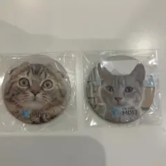 Item thumbnail for item 2efe8f1f-e295-4d4f-b692-71391f90077e