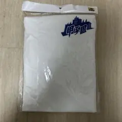 Item thumbnail for item 7502e8a7-5ec5-4406-b8d0-e9cd53491a5f